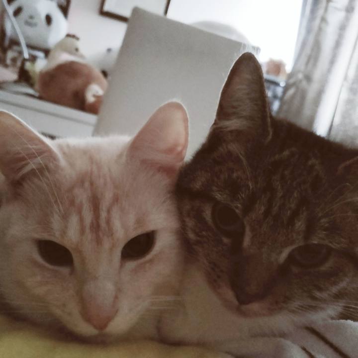 3cca50a0 5c44 4e66 96a9 990b5c4cd064 1645914919047