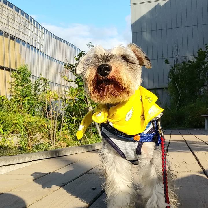 3cca8763 b909 4eda b1b1 f25de72c5a69 1627784708894