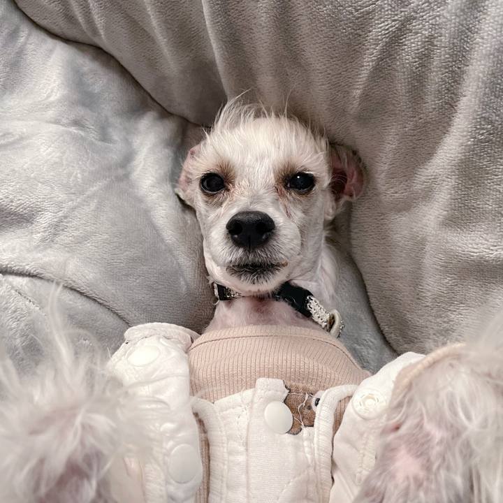 3cca9ac4 d257 4fa6 9ec1 1b9cf2826d8f 1764988110661