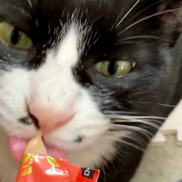 3ccaf66c a6f5 4383 b3d4 80cf9c0b08f7 1730260002085