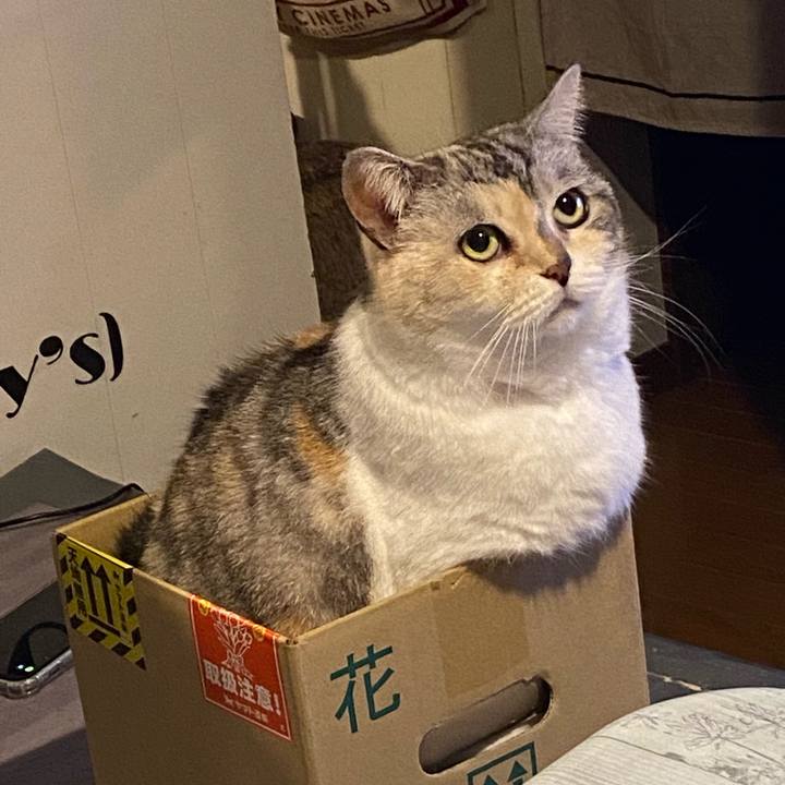 3ccb13b0 9ef7 4304 a684 0564974a926f 1683460626391