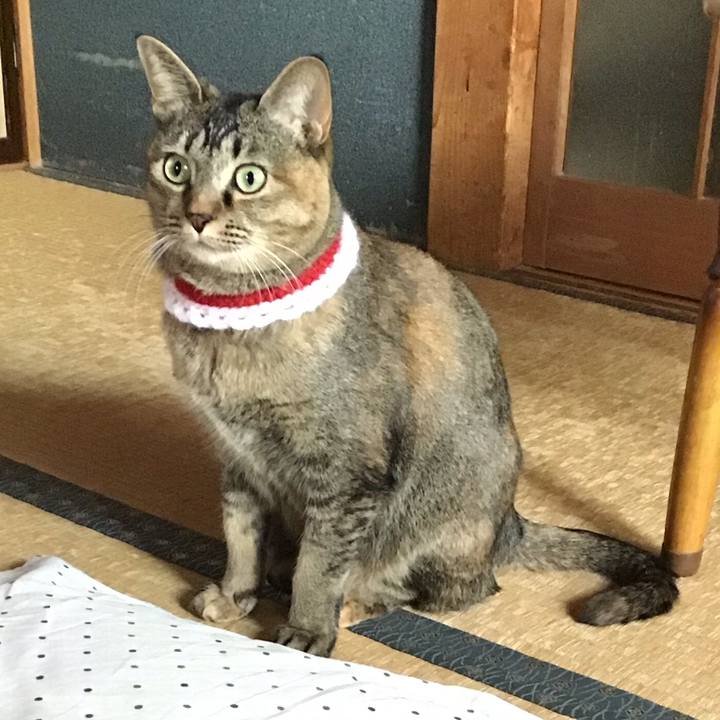 3ccb1895 b568 42ce 8718 21871c14ae1f 1609801583697