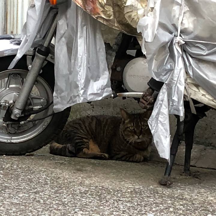 3ccb253a 9f44 45d2 8798 37b32e10c58c 1534673396161