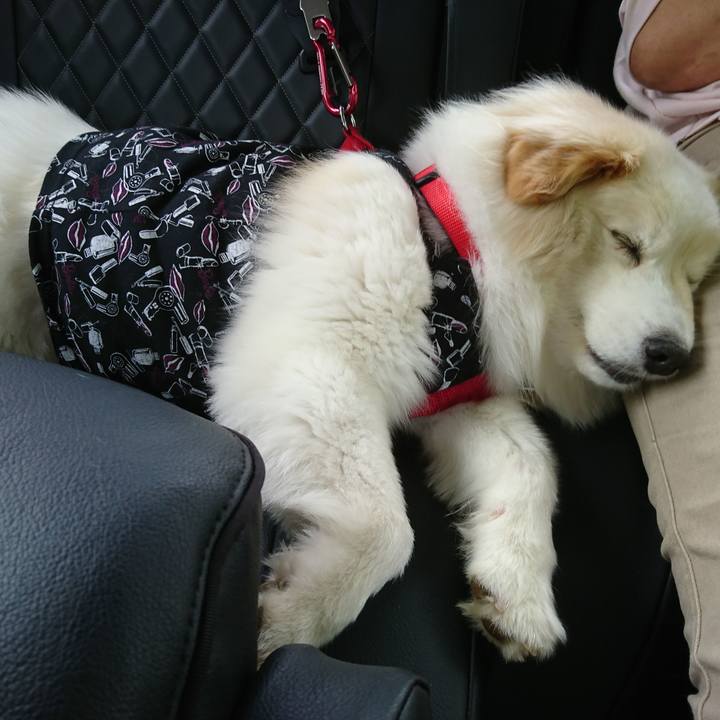 3ccb397c a620 4972 92f8 4e2b3e3b43f8 1527799154347