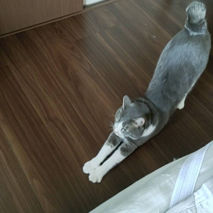 3ccb3c98 9848 40a5 a010 db7519f4f42b 1688177919450