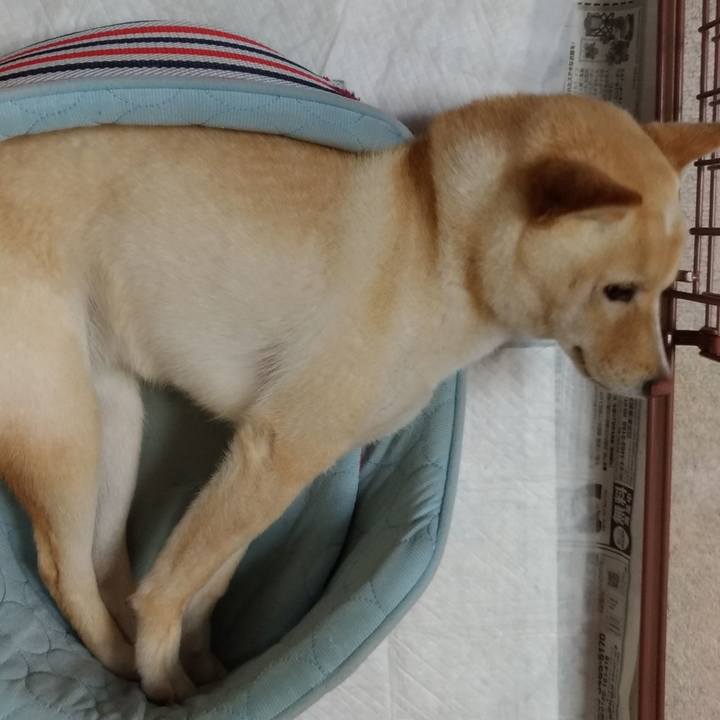 3ccb5e57 7c44 47ac bc38 a761e34478c9 1529185652417