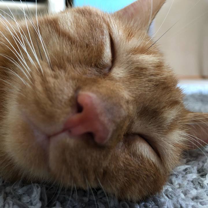 3ccb6386 021e 4291 b731 7c25db07a537 1527344977036