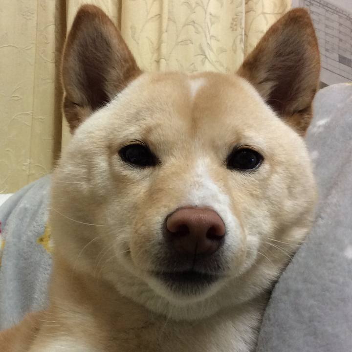 3ccb84a0 1974 4b26 b167 e4bf58f12288 1518952385519