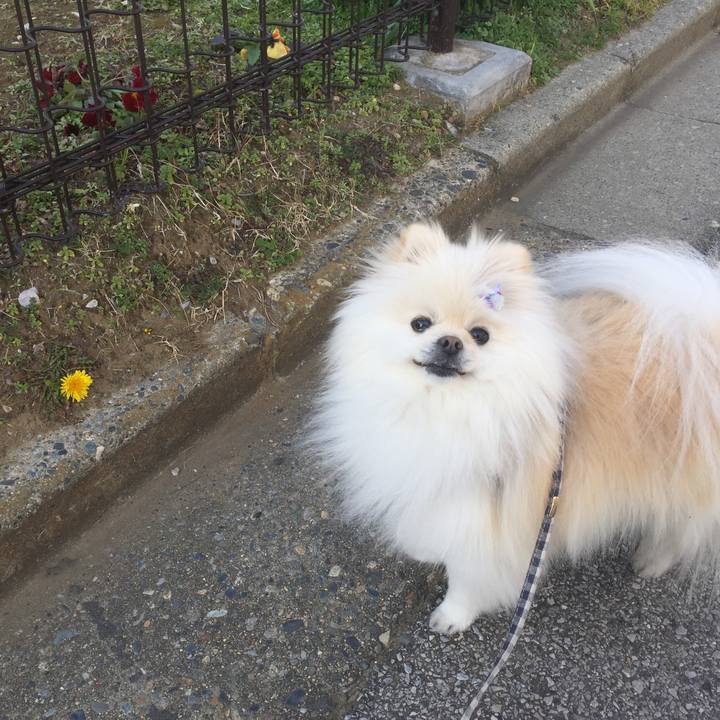 3ccb90e2 0a21 426a 83f8 87cb4ed305de 1580717452010