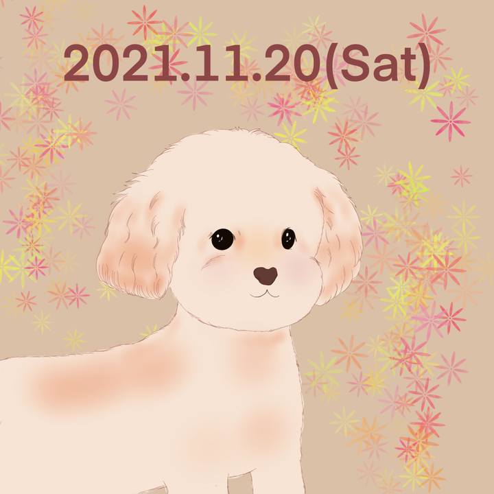 3ccba0b2 f3ab 4e65 b7ac b48782b8a5be 1637411262112