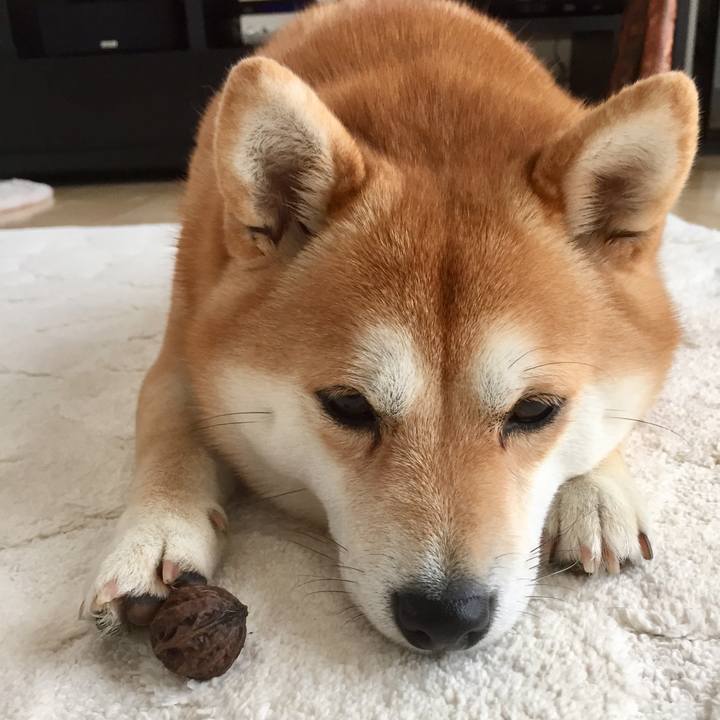 3ccc4225 c400 496a b1bb c512e09ee8f2 1510861536760