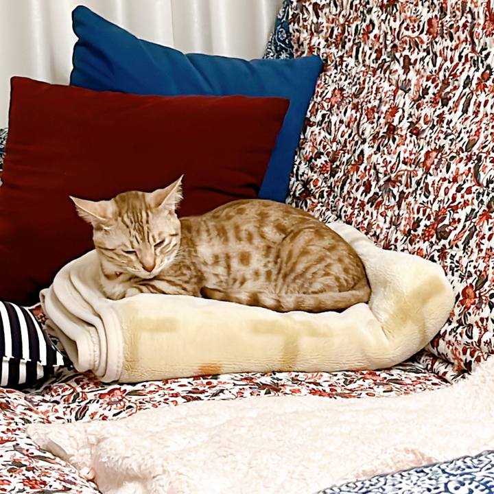 3ccc597a d42f 47cb 90cf fb444bee5180 1649074672401