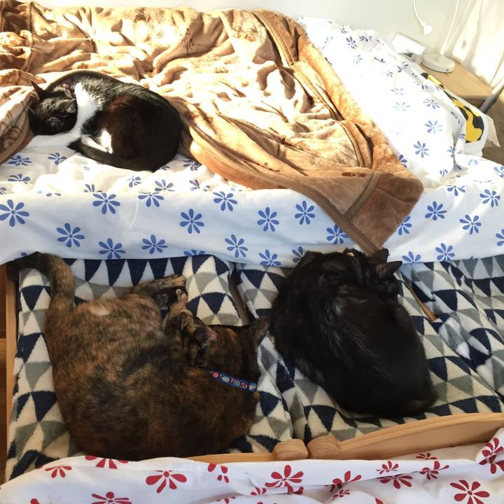 3ccc5ffe ba98 4e0e a988 46ab5b64b7d2 1540449584665