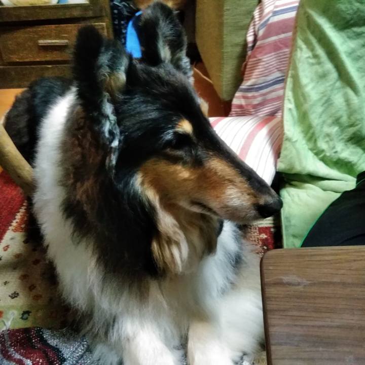 3ccc64df 764b 4ea8 b860 f271da94700b 1558924478497