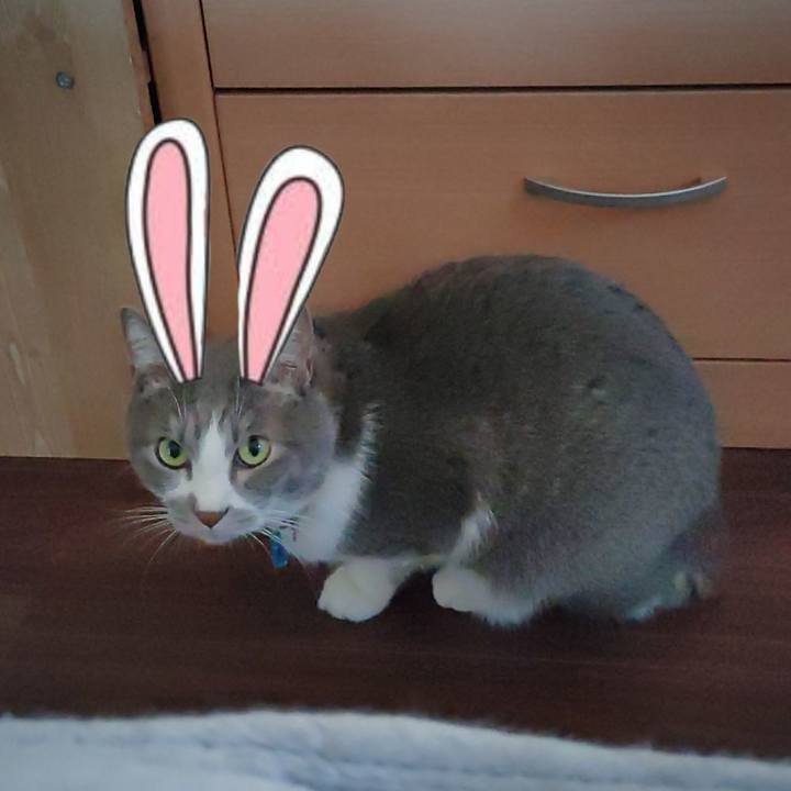 3ccc6bab a32d 43c6 b87f dc18858aeda9 1672623857022