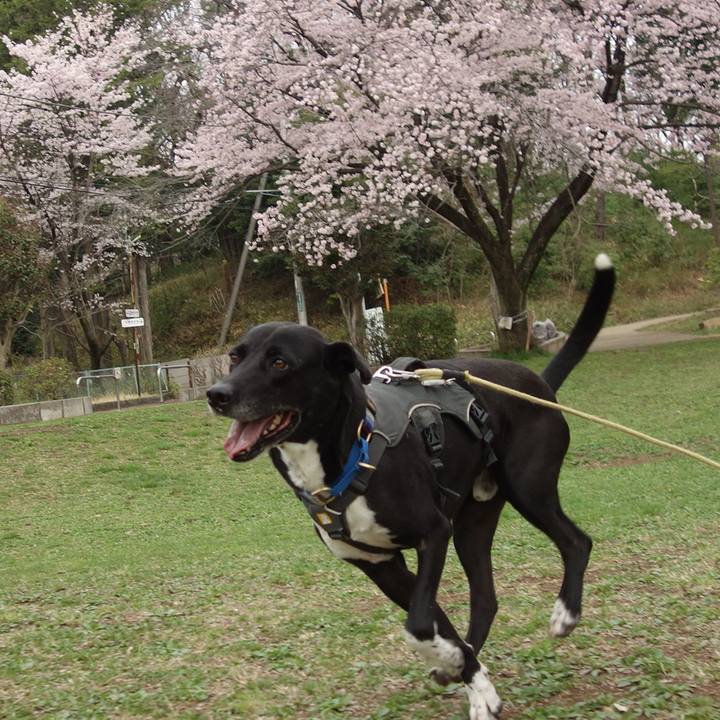 3ccc8147 8461 44da 8b19 4b4834195085 1648601031908