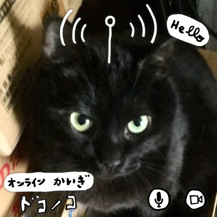 3ccc9a76 452b 469b 819c 63ea283b521e 1591176283716