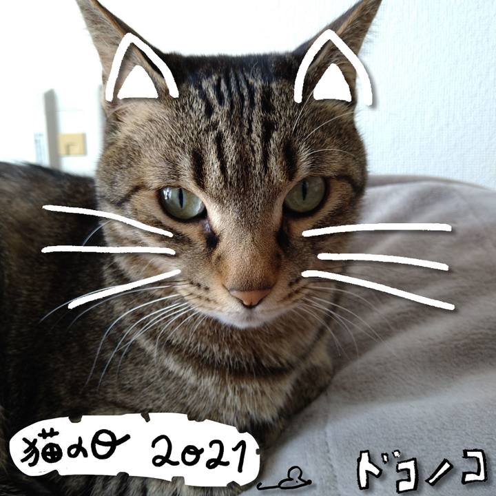 3cccbce1 a3f6 4230 9d3a ae9e6468b457 1613970552380