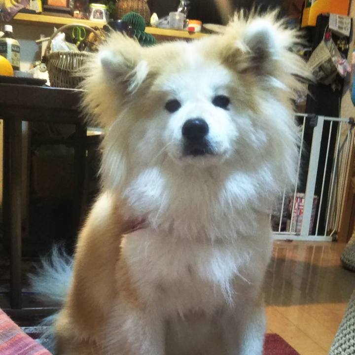 3cccd2d2 4c8e 49b7 aa46 09c8f7a6cfab 1612613573069