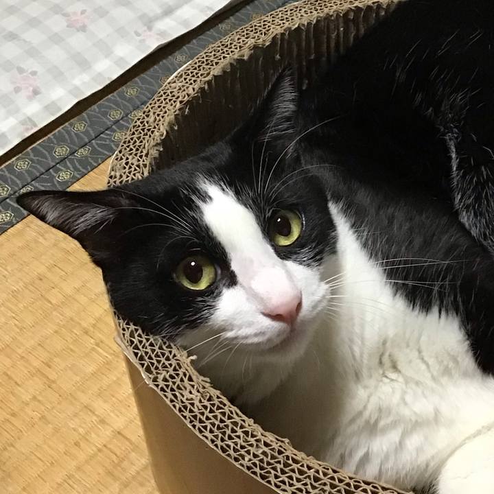 3ccd354b afba 4427 aa80 980ca9c99ecb 1726994598263