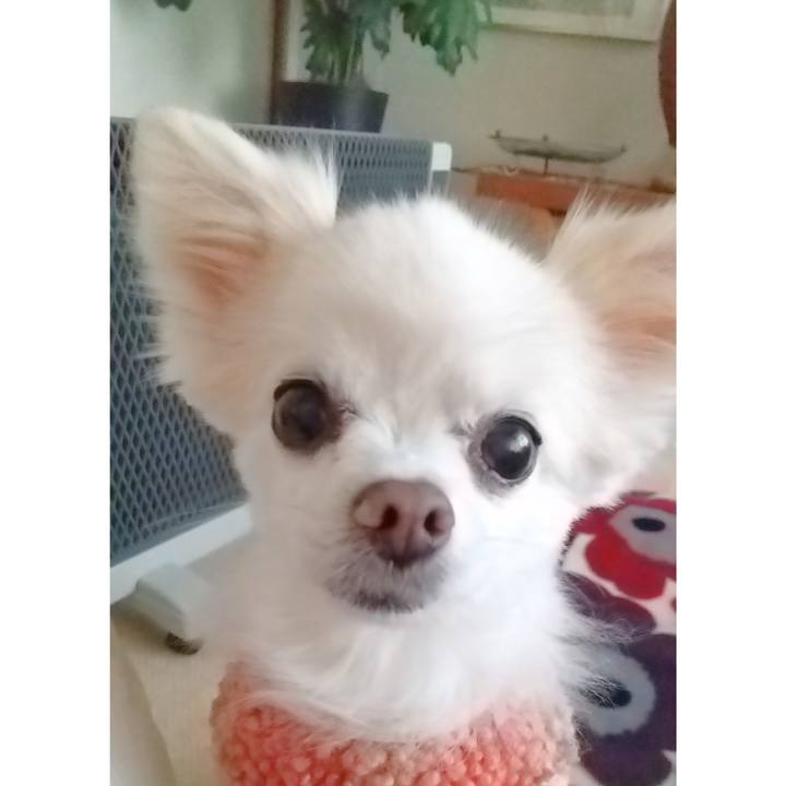 3ccd6988 c3e5 498e a4b0 c6774b3deff2 1645340056119