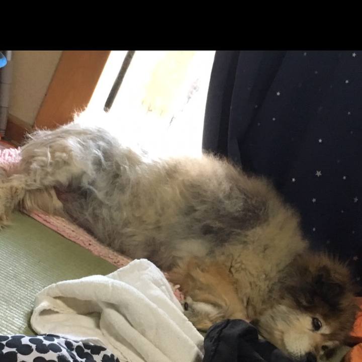 3ccd6a1f 26bc 4054 bd1c 73d2913426c0 1560328049752