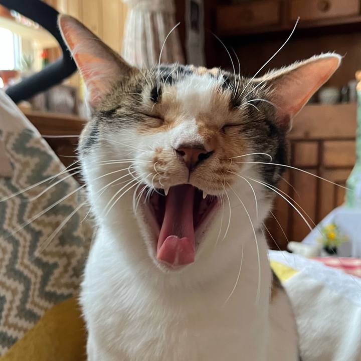 3ccd76f8 8803 4aed b313 f5e187f257ca 1687996754933