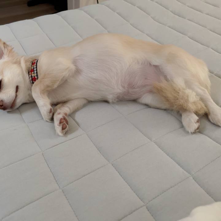 3ccdb865 1765 4902 8d29 5a026eb33150 1724115754490