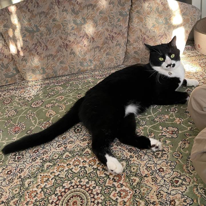 3cce0217 7206 4c24 8db6 191a657368e5 1729466008788