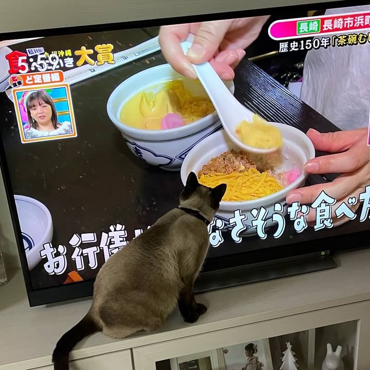 3cce3800 d47a 4a42 836c 6638f0a6e94b 1735506899707