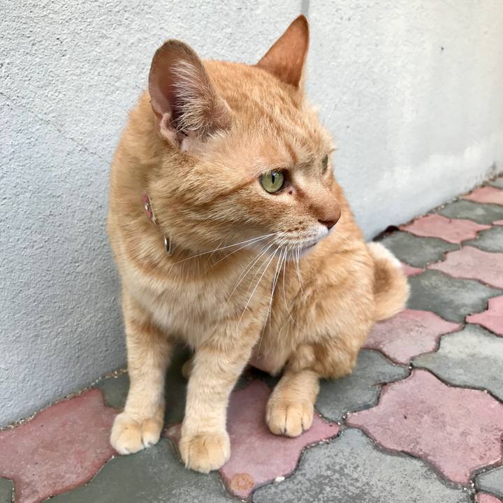 3cce3ee8 3946 47cd a828 4607efddec46 1526290539664