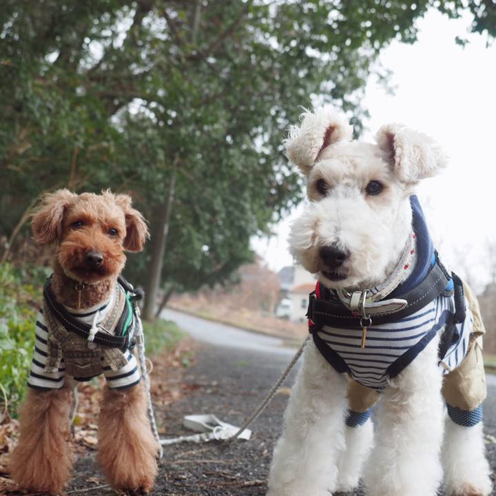 3cce4282 e158 4dd9 b8e7 cac0d6115555 1552197325499