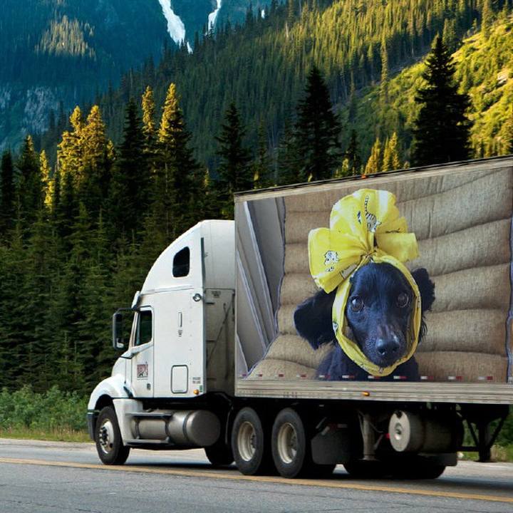 3cce5d79 988b 4a54 b8b3 6160323104c4 1723947369580