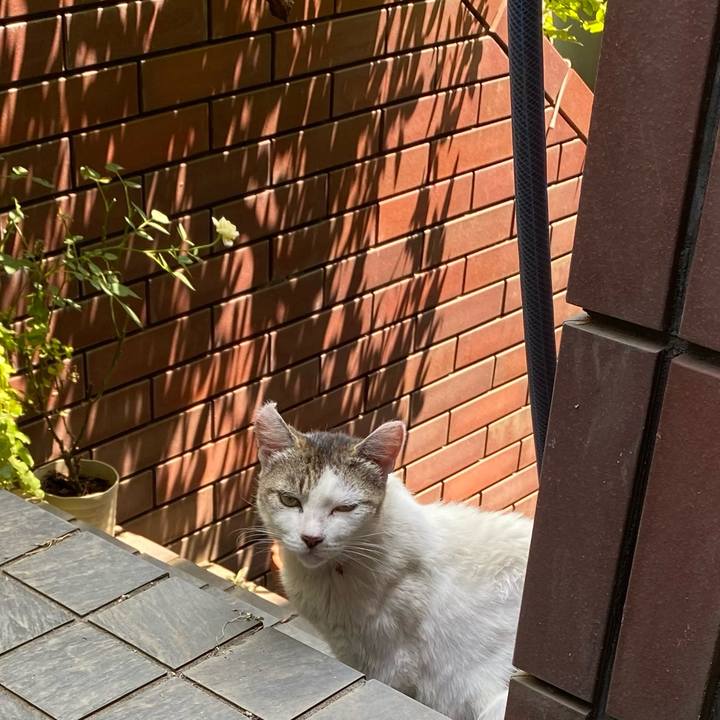 3cce65ce a504 4d55 ad9b 72b56550c688 1689130338982