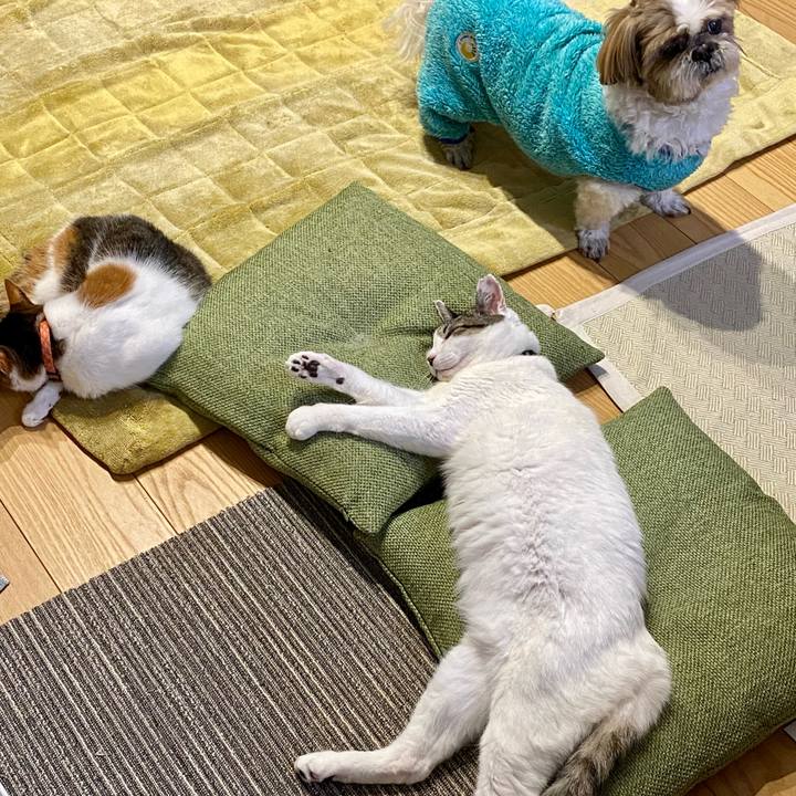 3cce7a4b 627b 48c8 8c69 c66e1d902a3a 1675162299451