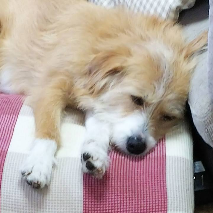 3ccece7a 04ba 4971 bf07 d5933d551b34 1517722597423