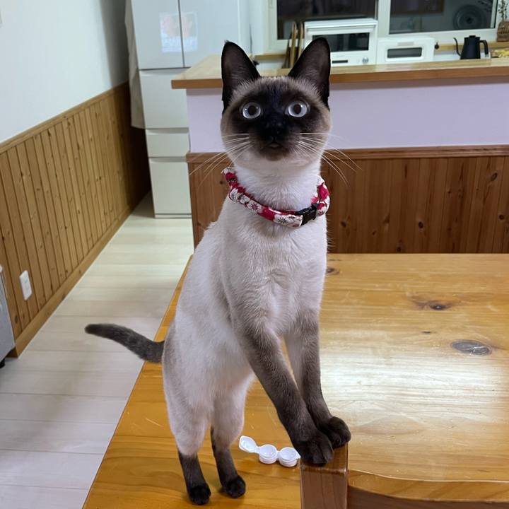 3cced7b4 3c63 4ec2 8a94 796629566b58 1706211031406