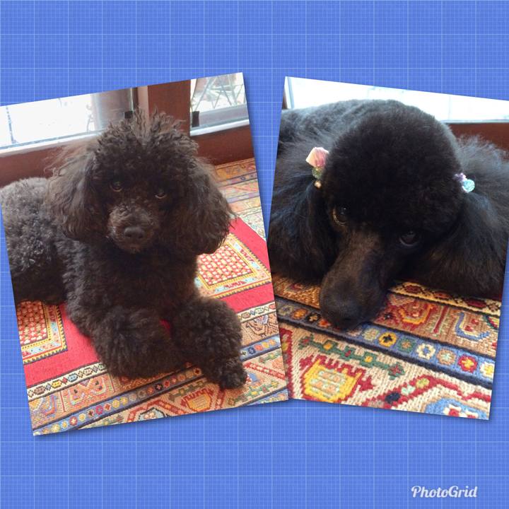 3ccee376 f1db 433e a1ef de970e09da0a 1566195535244