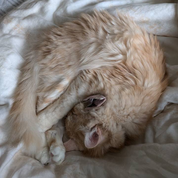 3ccf0b6b 62f6 4fc9 8d7e fc9e344589a8 1730169522826