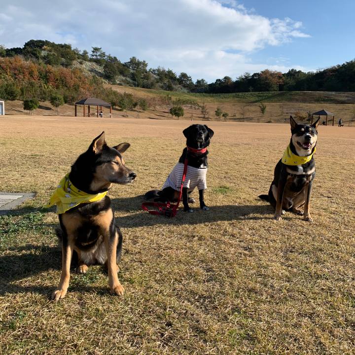 3ccf2020 4837 4617 85cf 1e10d0c22e90 1575796543512