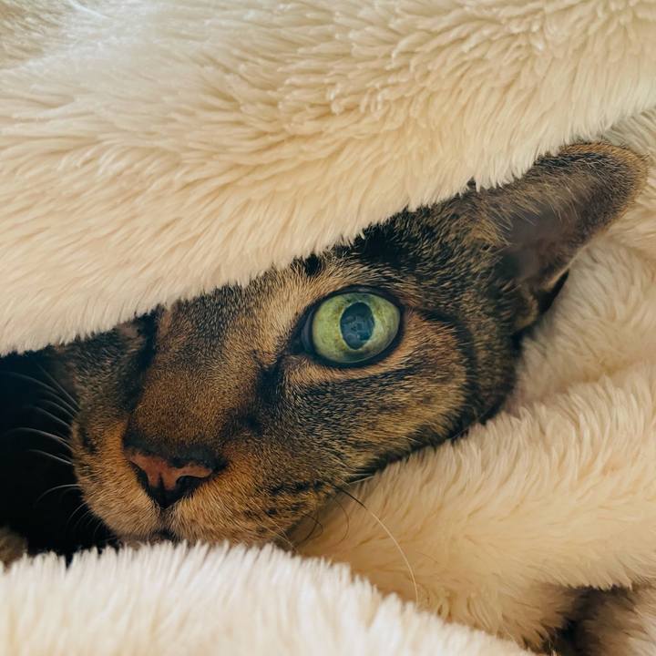 3ccf4fa4 dbde 43c7 a04f 89644bba2c5e 1614994732589