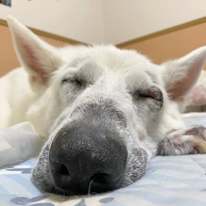 3ccf60a9 3c95 4bcf 908a d967a9348360 1682765631452