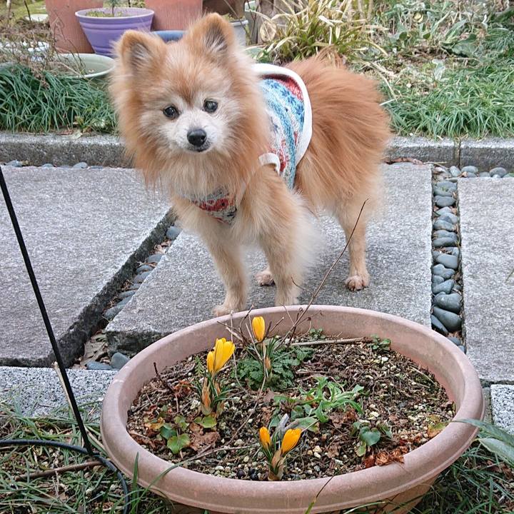 3ccf64bb 2011 421c af81 9cae88e941df 1678744347178