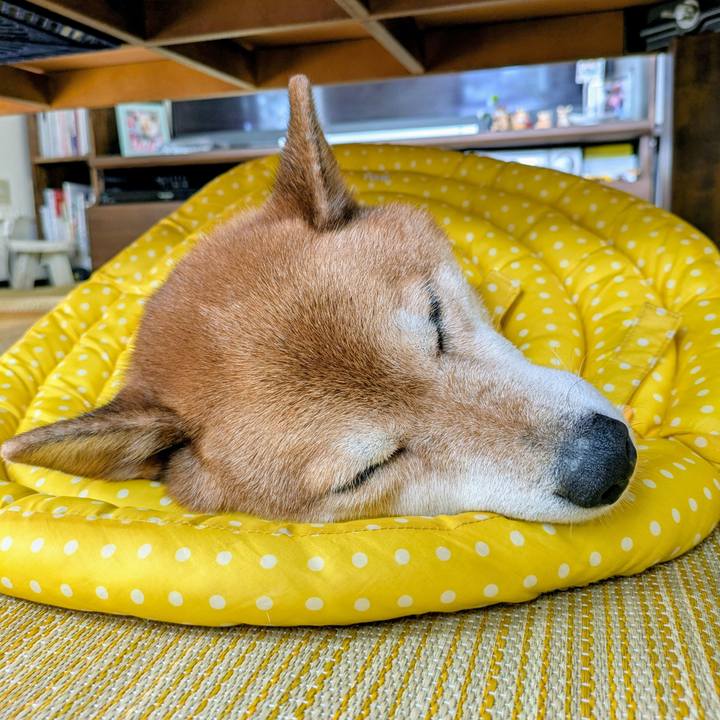 3ccf6e75 4131 43cc 949a 4aacebc42253 1759020281031