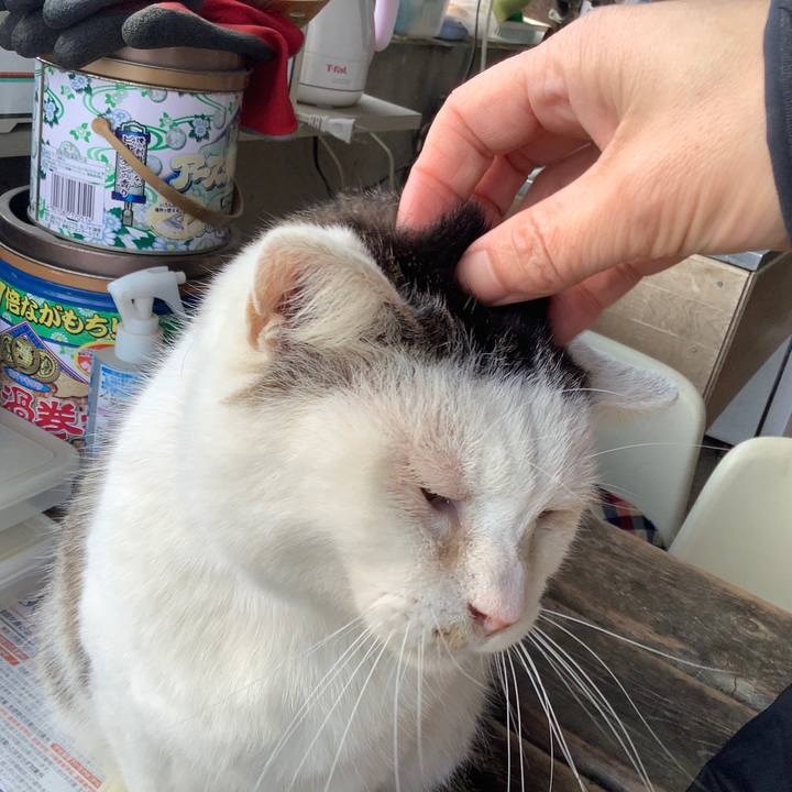 3ccf9bbe 81a9 4b3f ad6f 2776f6de9bad 1584845876135