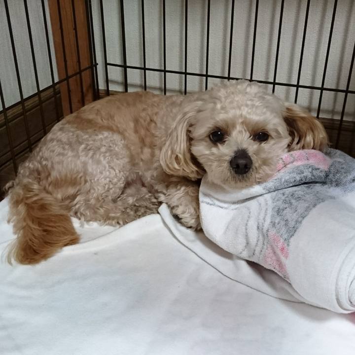 3ccff680 7e09 49b5 a2f6 f998157f9f74 1557927427650