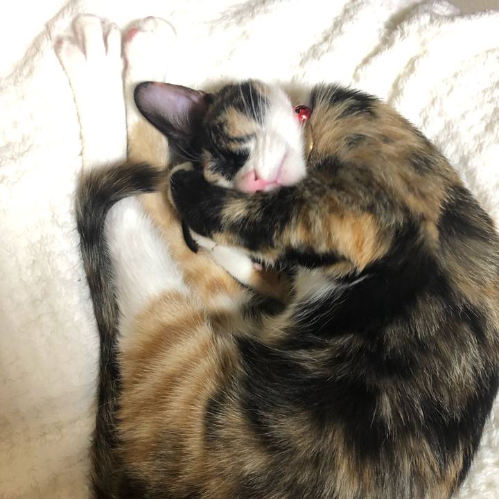 3ccffc4d 2204 4aae b697 80dfb3505714 1552045175524