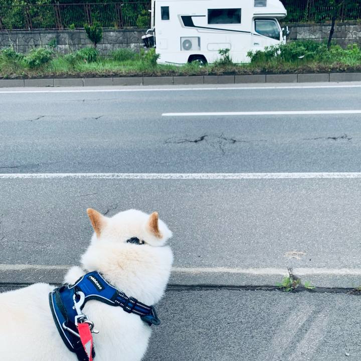 3cd0160d 5ed6 4615 ad74 a28f48600a66 1624569057303