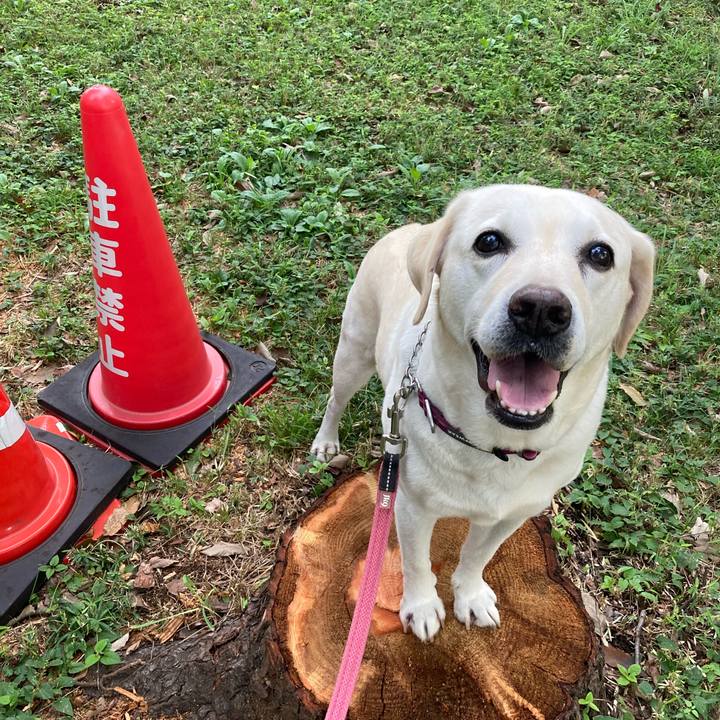 3cd0330a 41ce 4ea3 9973 b249001377ee 1695513222376