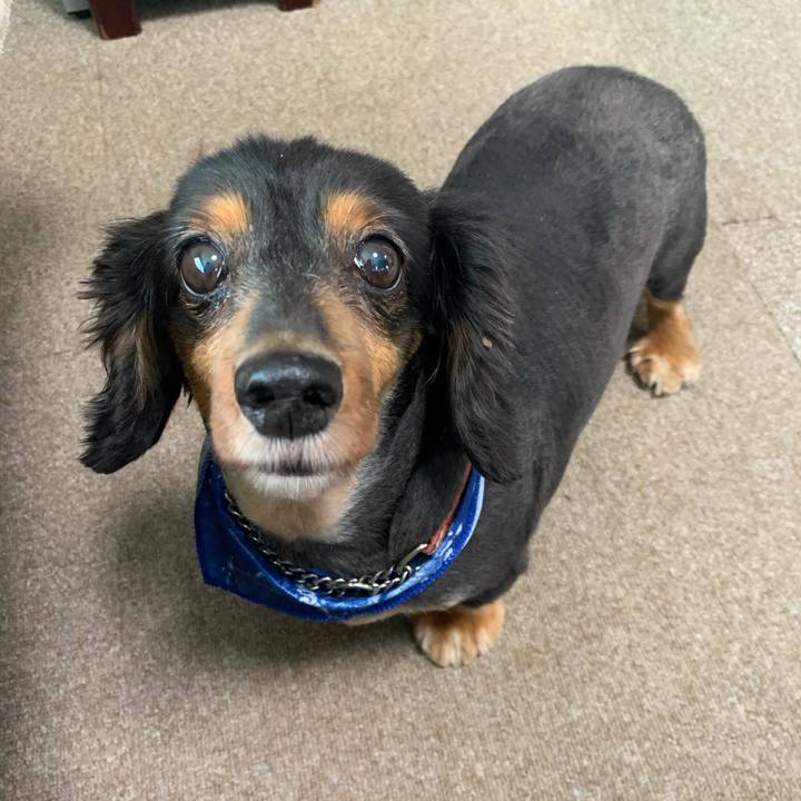 3cd053cd 47dd 498d a150 aeac6c98f479 1600293551799